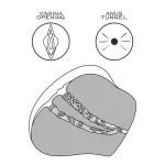 Masturbador Realístico Streetgirls Nº3 textura