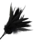 Plumeiro e Palmatória Darkness Preto - Image 2